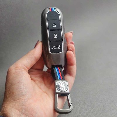 کاور ریموت دیگنیتی دور فلزی