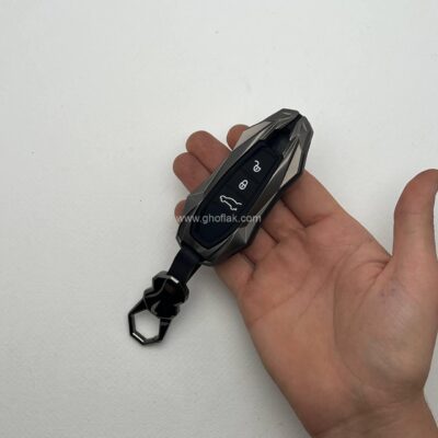 کاور ریموت پورش و دیگنیتی طرح گاگ فِیس