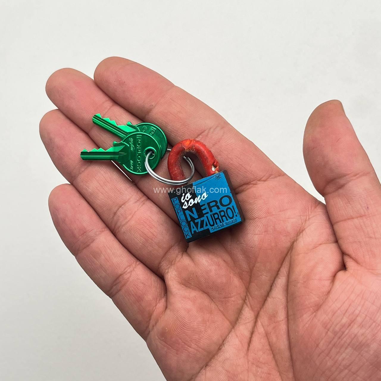 photo_4_2025-04-14_19-33-28 قفل آویز فانتزی سایز کوچک - Image 1