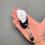 کاور ریموت شاهین کیلس طرح فی فی