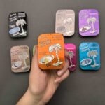 خوشبو کننده کنسروی آمریکایی اگزوتیکا (exotica) - Image 8