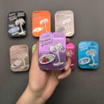 خوشبو کننده کنسروی آمریکایی اگزوتیکا (exotica) - Image 2