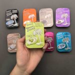 خوشبو کننده کنسروی آمریکایی اگزوتیکا (exotica) - Image 5