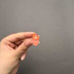 عروسک شب تاب لاکپشت