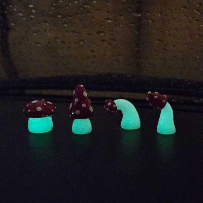 فیگور-قارچ-خال-دار-شب-تاب-07